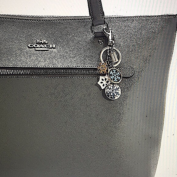 COACH - SNOWFLAKE CLUSTER BAG CHARM/KEYCHAIN (NWT) - Picture 12 of 12